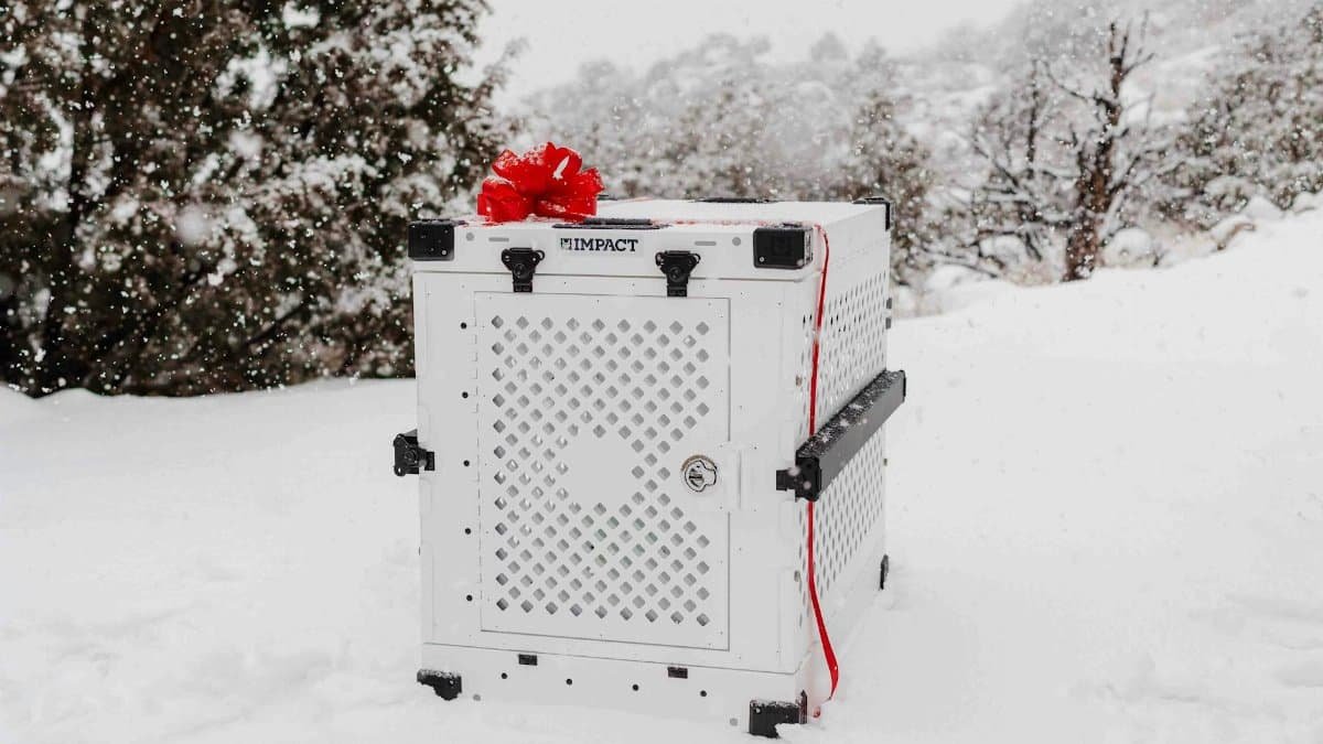 High-quality dog crate beautifully presented in a snowy winter setting, perfect for pet lovers.