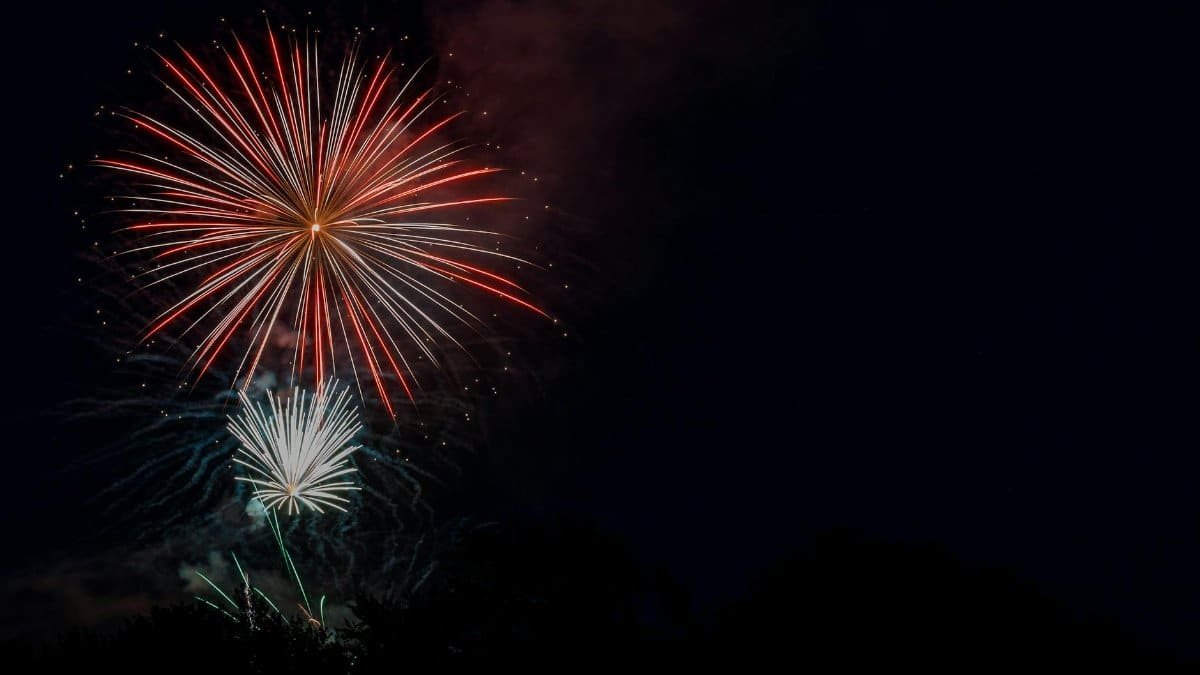 An explosion of colorful fireworks lighting up the night sky, perfect for celebrations.