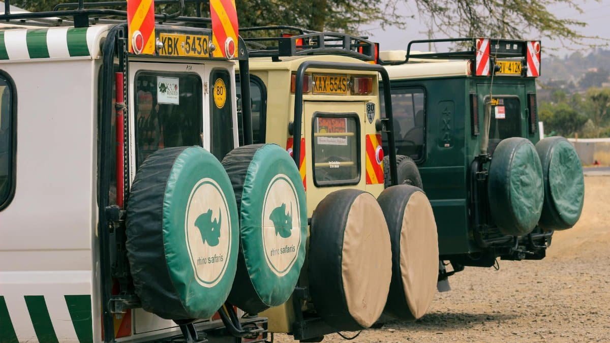 Safari jeeps parked for off-road journeys in the wilderness. Ideal for adventure seekers.