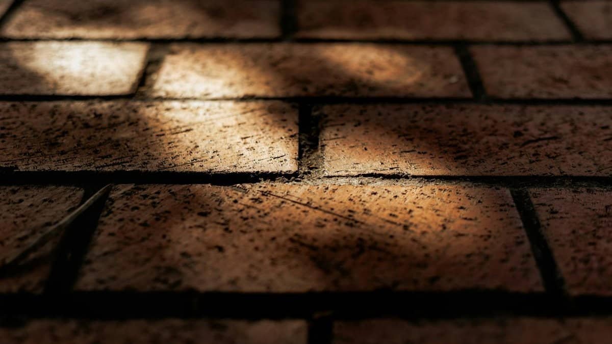 Detailed close-up of textured brick pavement with shadow play highlighting urban patterns.