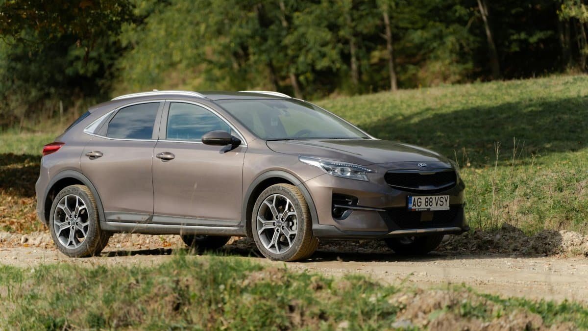 An SUV traverses a rustic path amidst a wooded area on a sunny day.