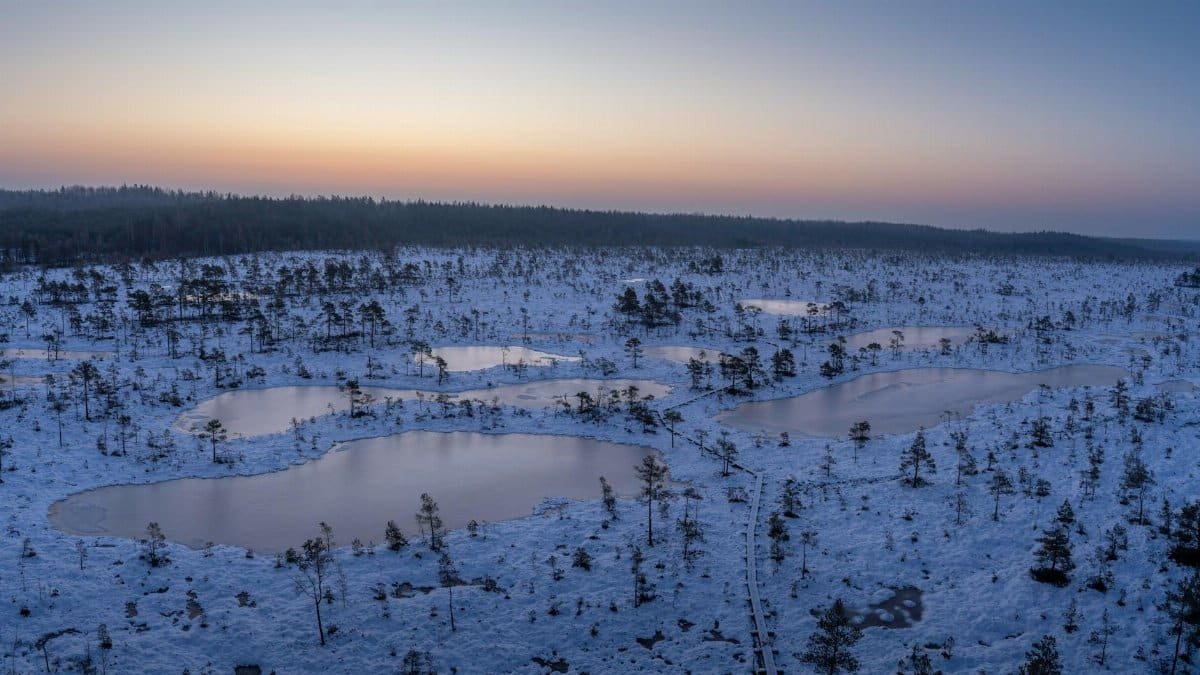 Serene winter view of Mukri Bog in Estonia at dawn with snow-covered landscape and frozen lakes.