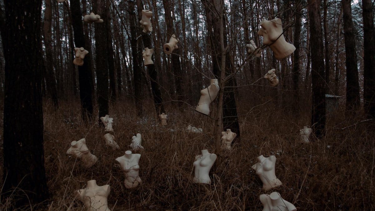 Surreal forest scene with hanging mannequin torsos creates a creepy, conceptual atmosphere.