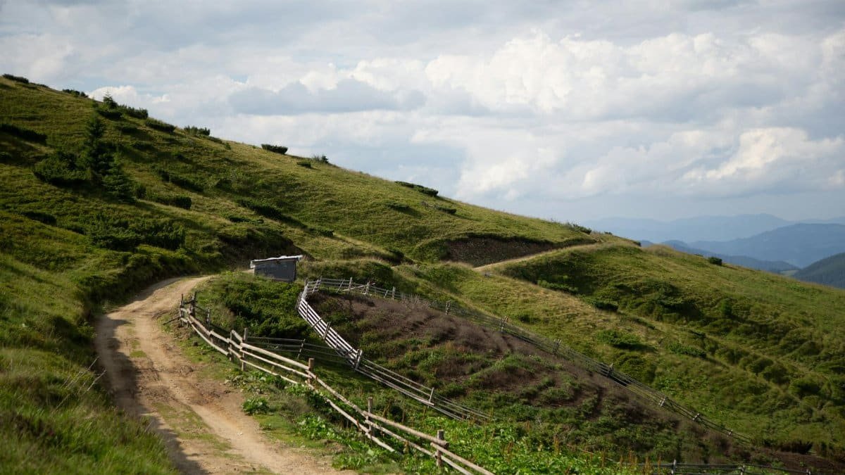 Peaceful rural dirt track winding through lush green landscape with rolling hills and fences.