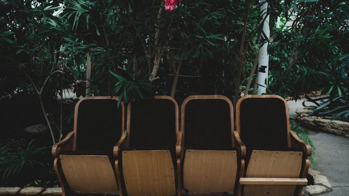Four vintage wooden chairs set against a lush garden backdrop, evoking nostalgia and calm.