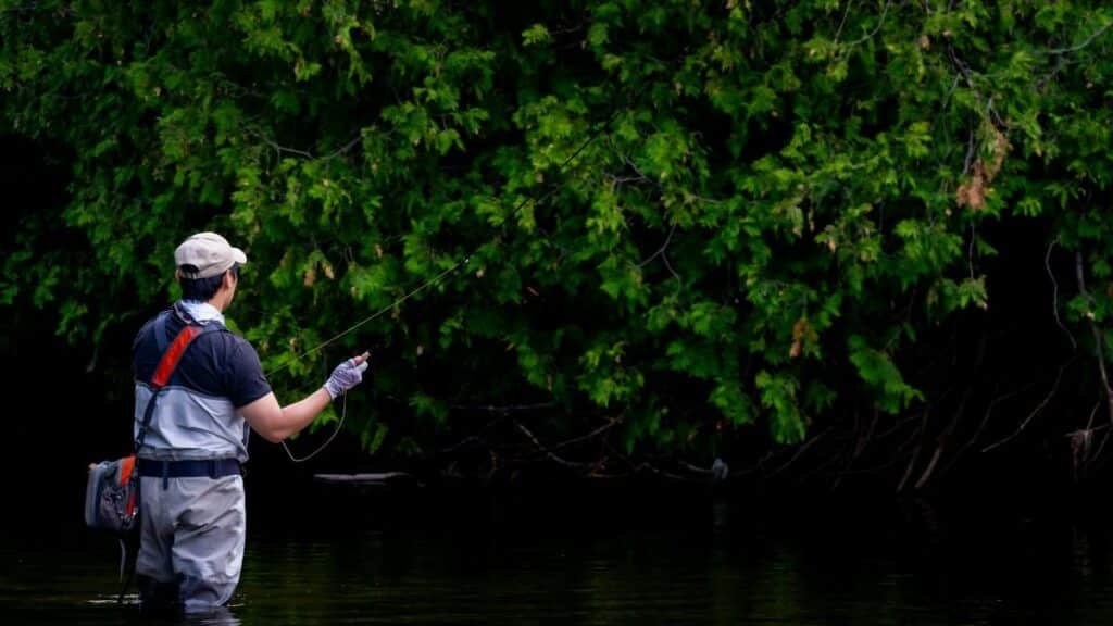 Man fly fishing in a tranquil river surrounded by lush greenery.