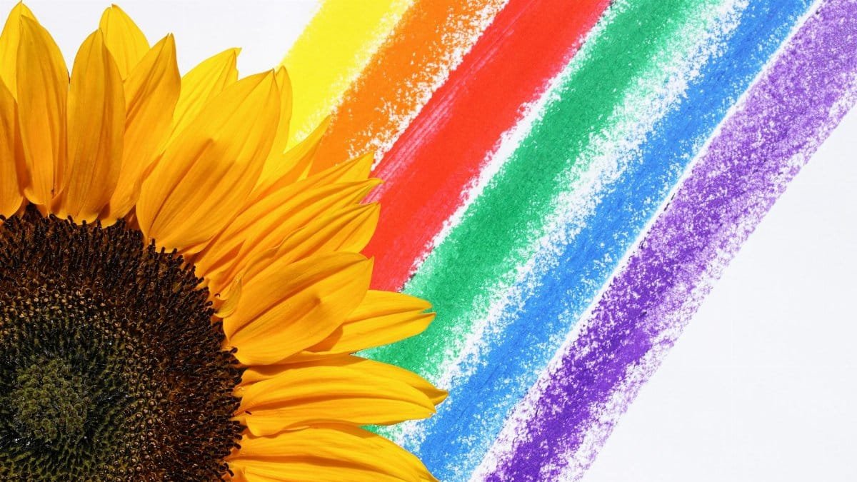 A bright sunflower with vibrant rainbow colors, symbolizing joy and diversity.