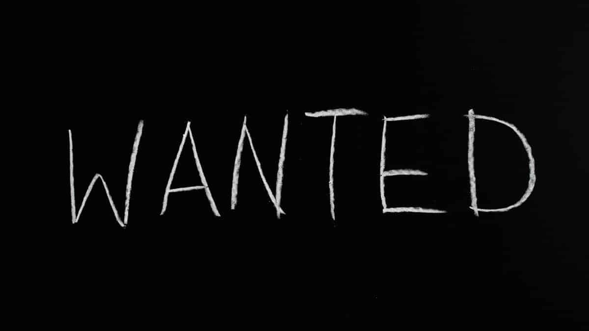 Black chalkboard with 'Wanted' written in white chalk, ideal for hiring or job concept visuals.