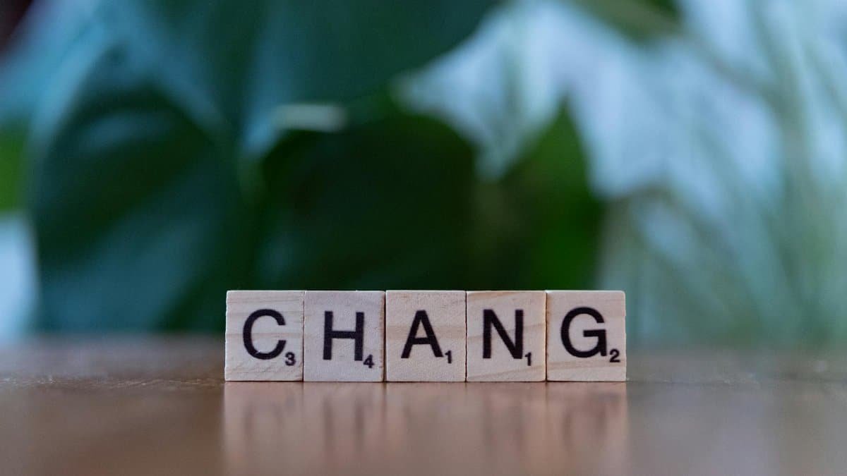 Scrabble letter tiles spelling 'Chang' on a wooden surface with green plants in the background.