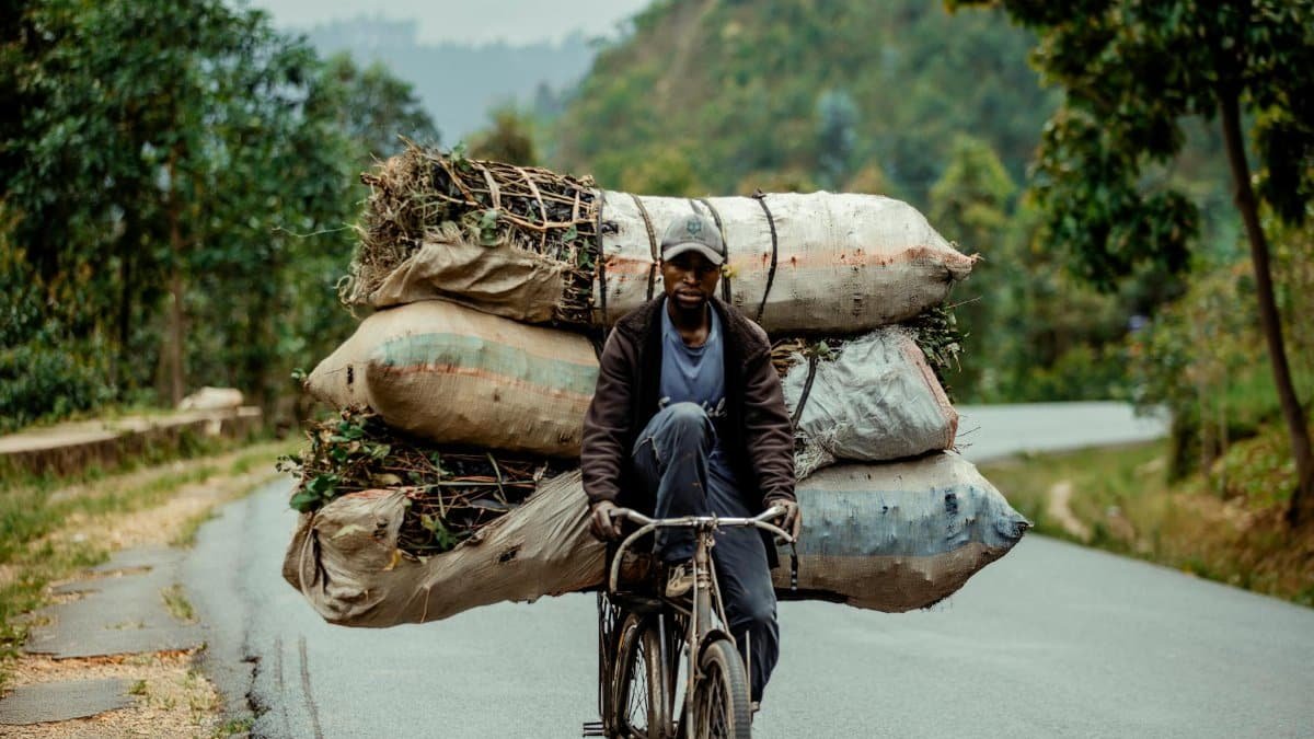 A man on a bicycle carries a heavy load of sacks on a rural road.