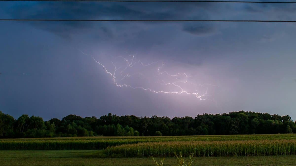 A striking lightning storm over a rural field illuminates the night sky, capturing nature's power.