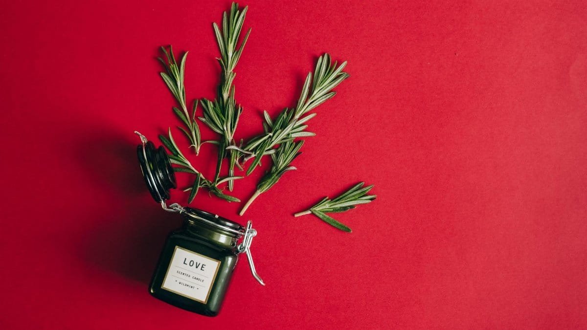 A scented candle jar with rosemary sprigs on a vibrant red surface.