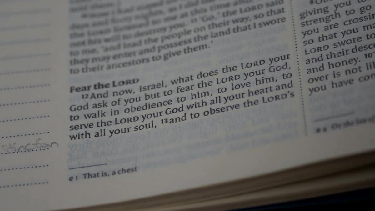 Close-up of a Bible page highlighting scripture with selective focus on text.