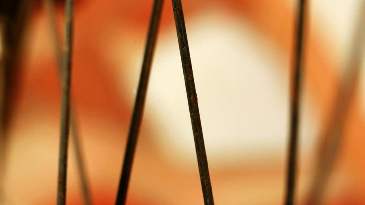 Macro shot of rusty metal wires with a blurred abstract orange and white background.