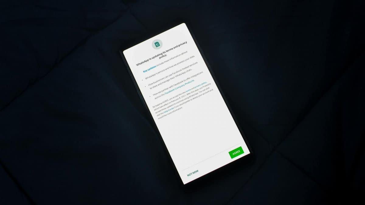 Close-up of smartphone screen showing a privacy policy update agreement.