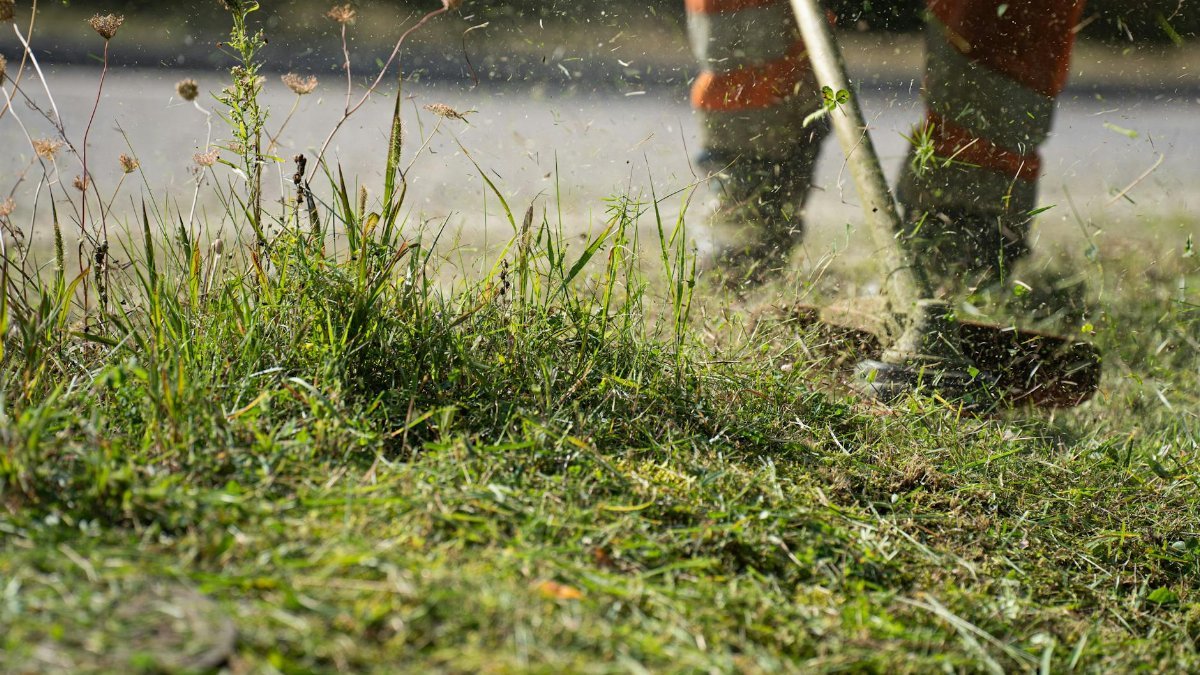 A worker in protective gear using a grass cutter to trim grass, capturing the dynamic action and flying clippings.