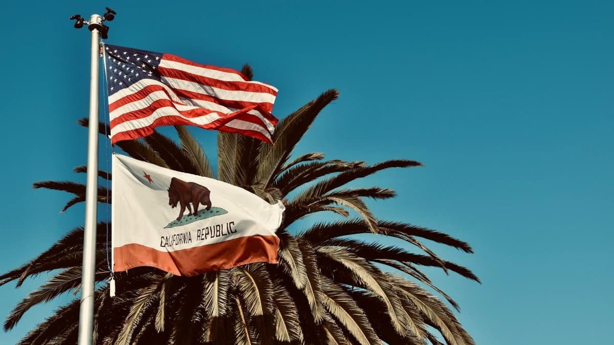 American and California flags waving against a palm tree backdrop in sunny Monterey, CA.