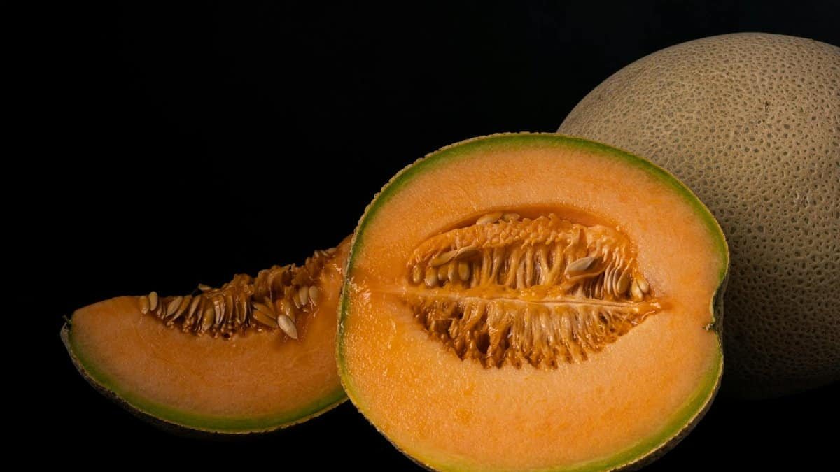 A detailed close-up of a ripe cantaloupe melon cut in half, showcasing its seeds and juicy texture.