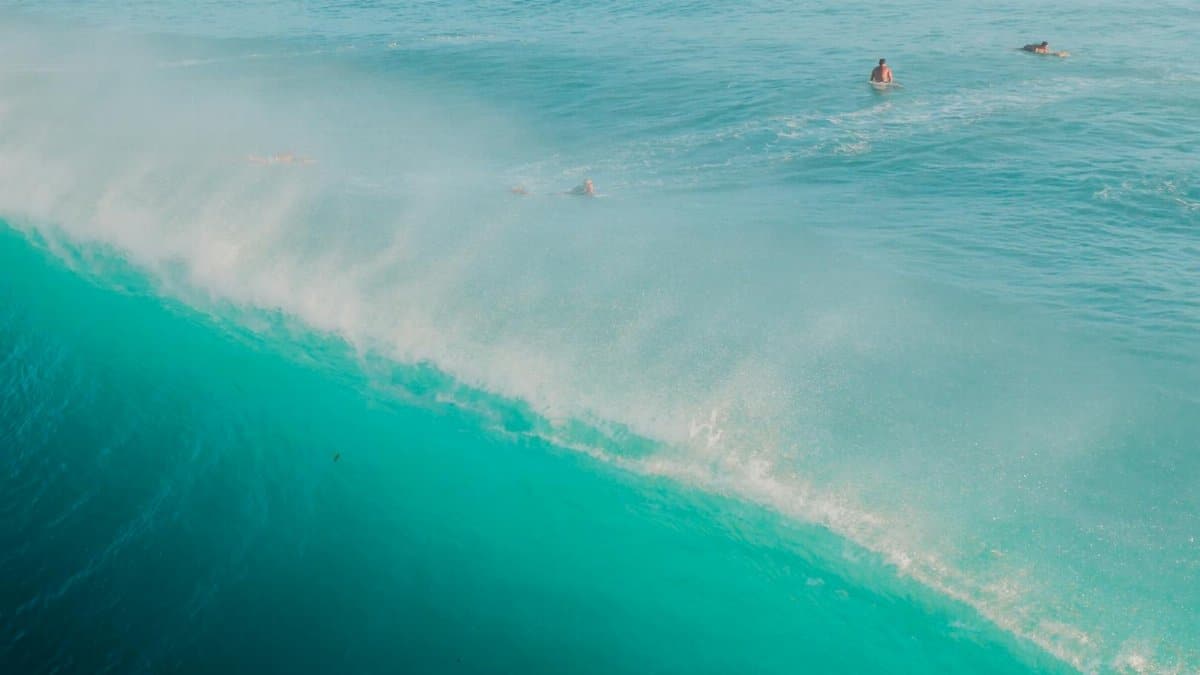 Surfers catching waves in the clear blue ocean, showcasing a vibrant and dynamic seascape.