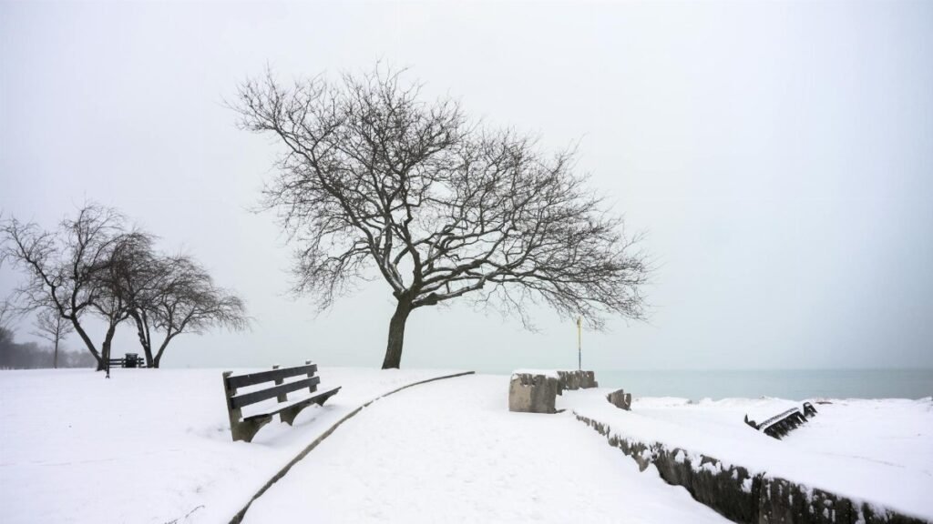 Serene winter scene at a lakeside park in Chicago, with bare trees and snow-covered path.