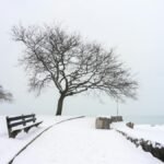 Serene winter scene at a lakeside park in Chicago, with bare trees and snow-covered path.