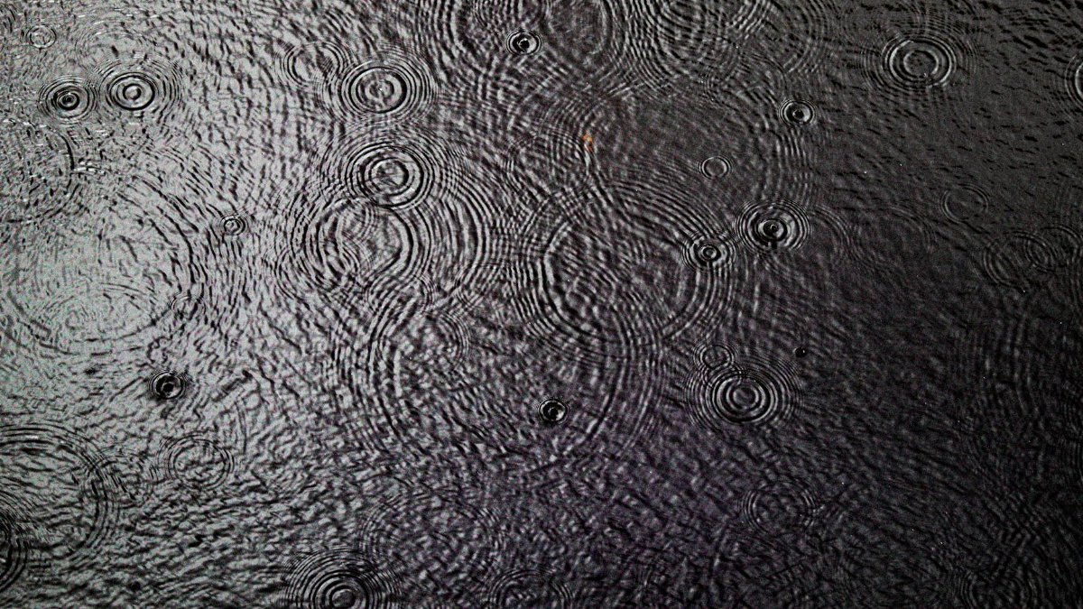 Gentle ripples on a water surface caused by raindrops, creating a serene and calming effect.