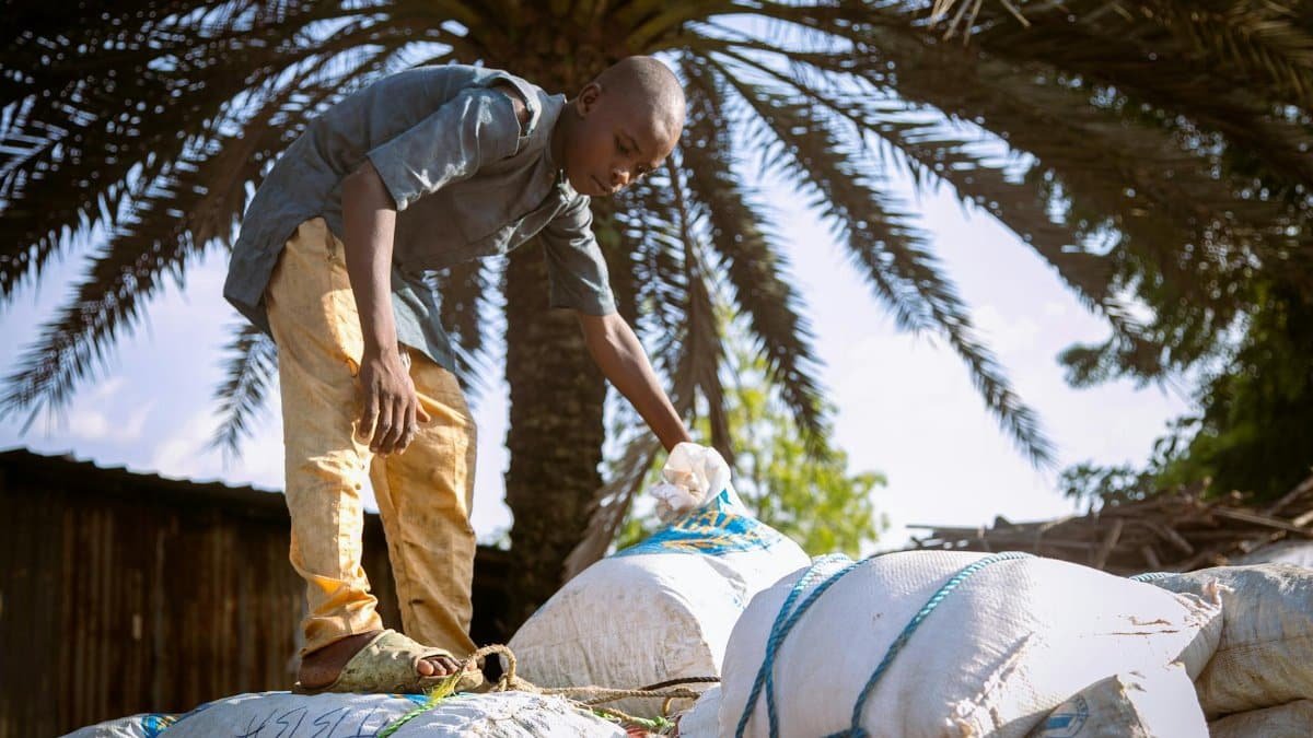 A young boy working at a market in Maiduguri, Nigeria, showcasing daily life and culture.