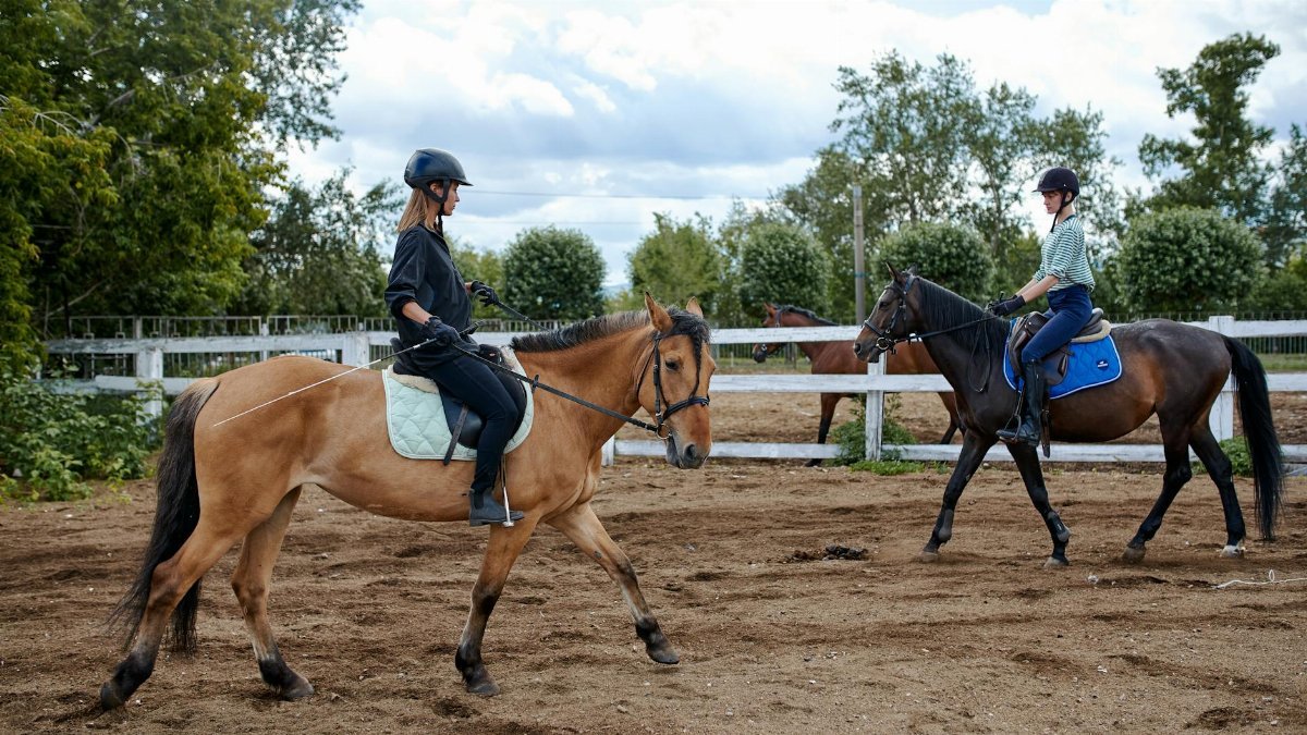 Side view of young equestrians riding chestnut and dark bay horses in paddock