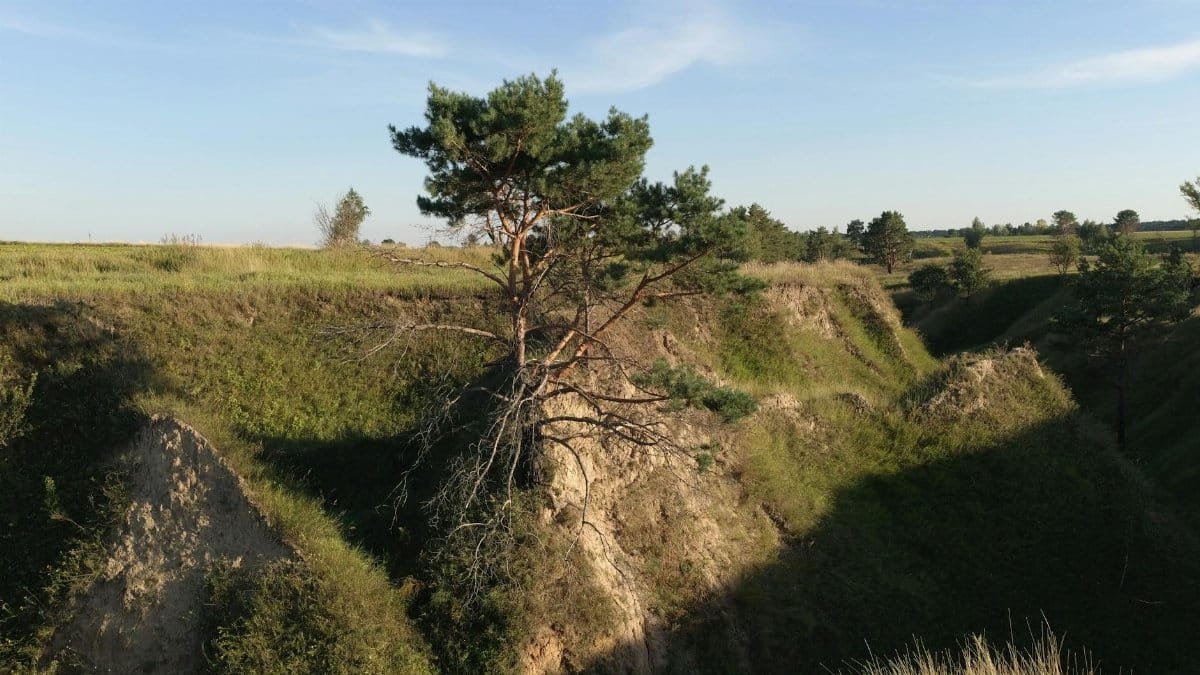 Sunlit canyon view with lush greenery in Vasylkiv, Ukraine during summer.