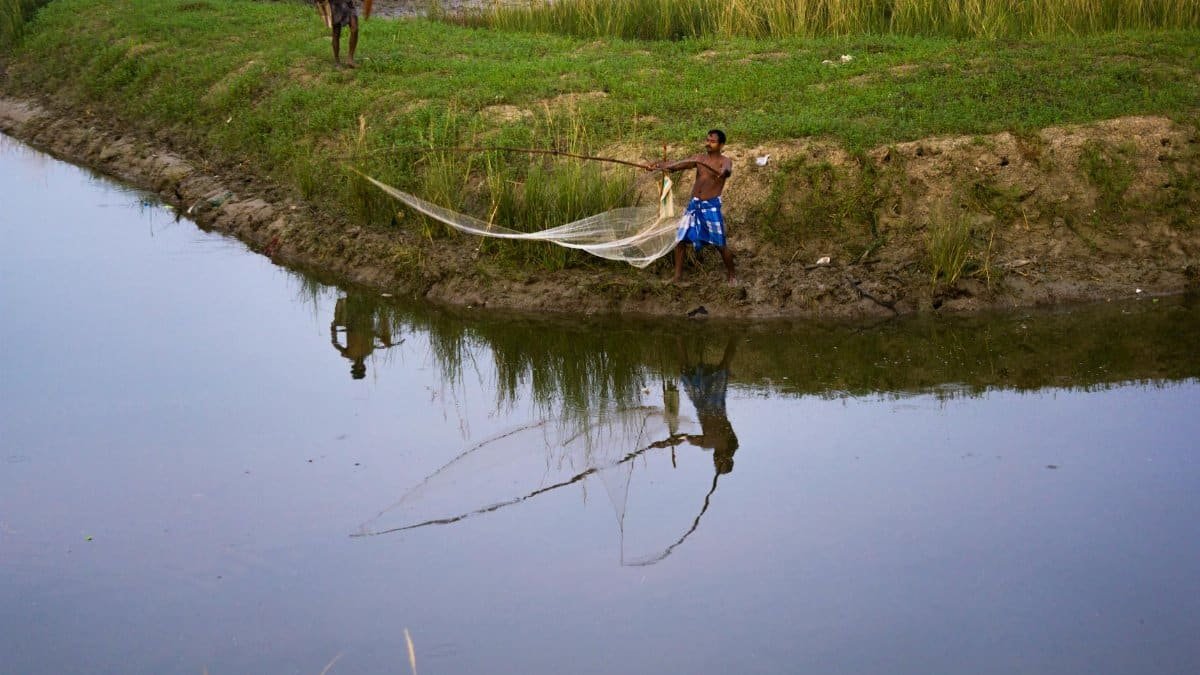 Two men fishing using nets by the riverbank, reflecting serene rural life.