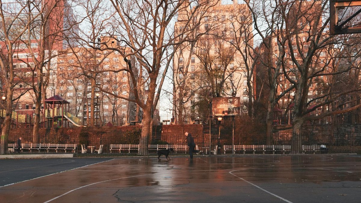 A wet basketball court amid leafless trees in New York City's winter setting.