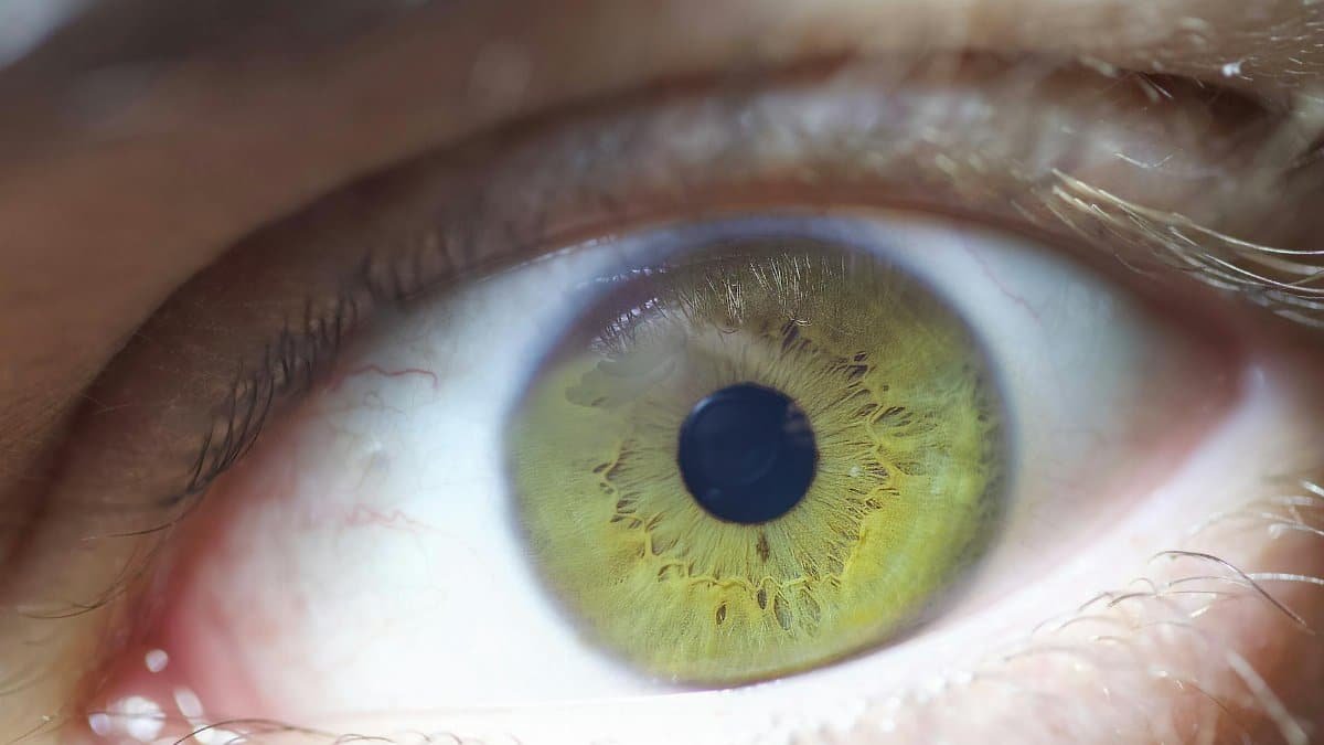 Extreme close-up of a green eye showing intricate iris patterns and eyelashes.