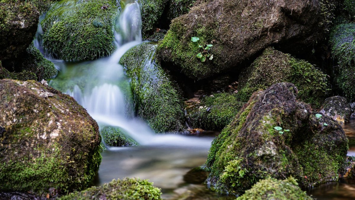 A tranquil scene of water cascading over mossy rocks in a lush outdoor setting.