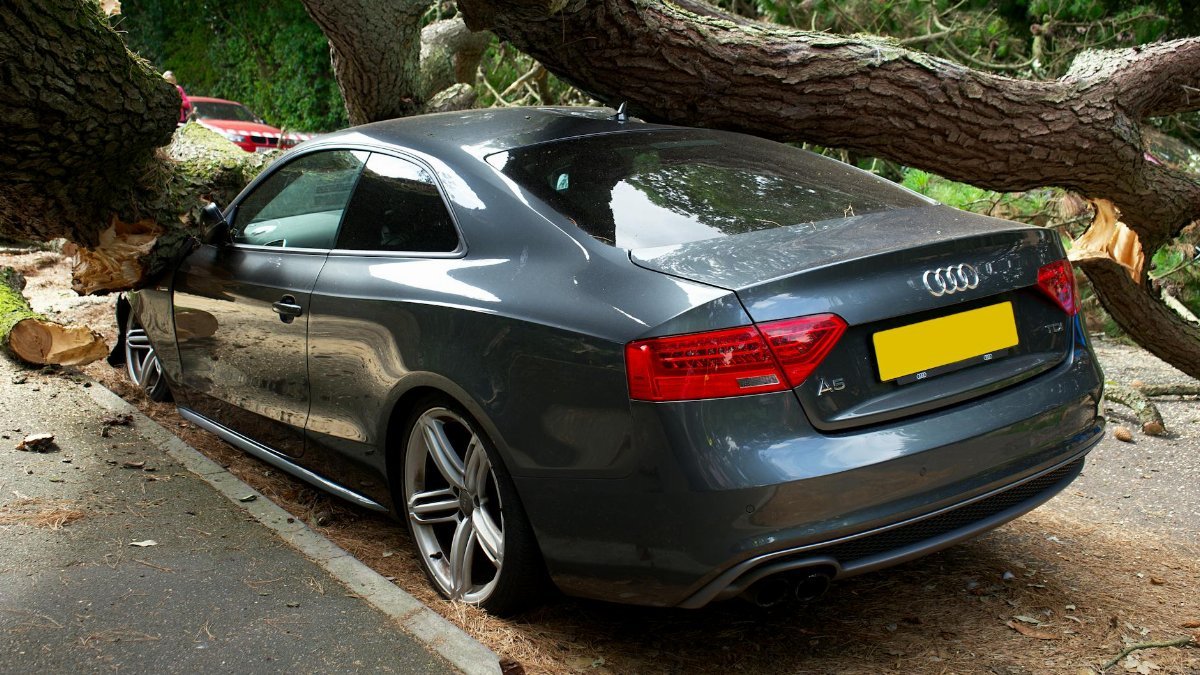 A broken Audi car crushed by a fallen tree in a UK street accident.