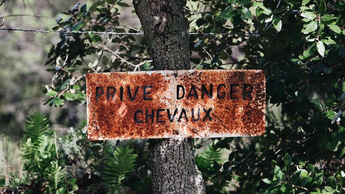 An old French warning sign on a tree amidst lush greenery, indicating danger and private property.