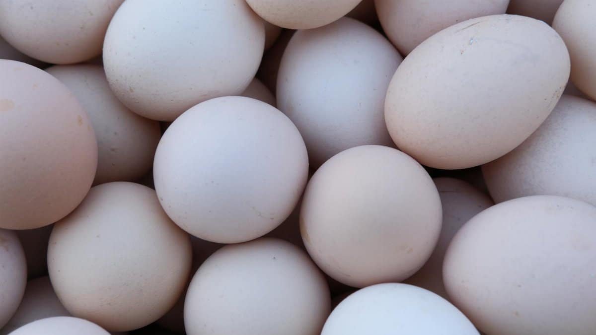 A detailed shot of fresh, uncooked eggs, ideal for culinary and farm-related themes.