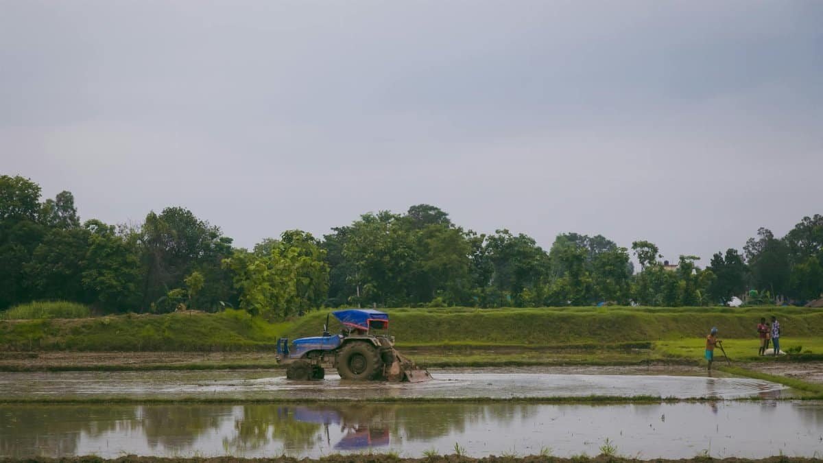 Tractor working in a rice field with farmers in Lumbini, Nepal