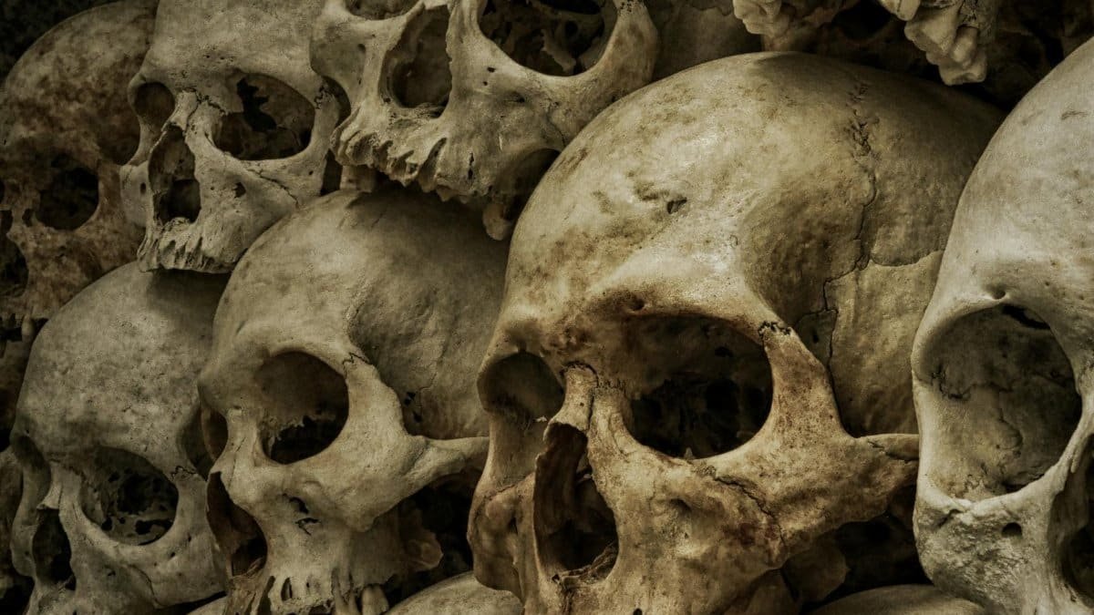 A haunting display of human skulls, perfect for spooky Halloween decor and themes.