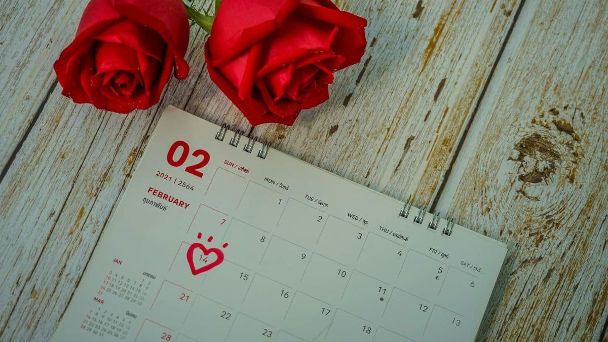 Red roses and a February calendar highlight Valentine's Day with marked date.