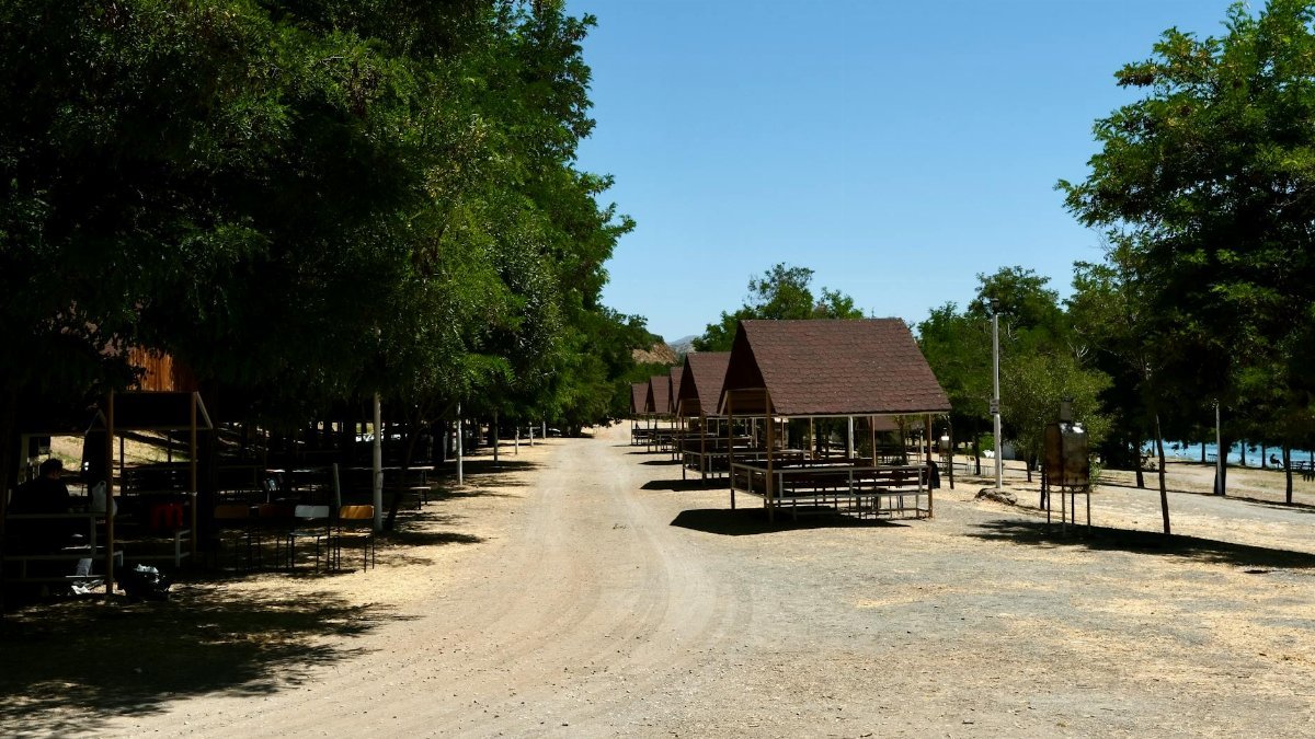 Outdoor picnic area with trees and empty tables on a sunny day, perfect for gatherings.