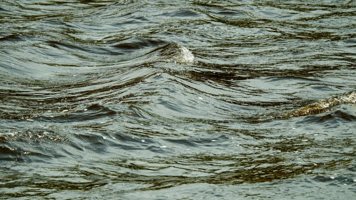 A captivating close-up of ocean waves showing intricate textures and movement.