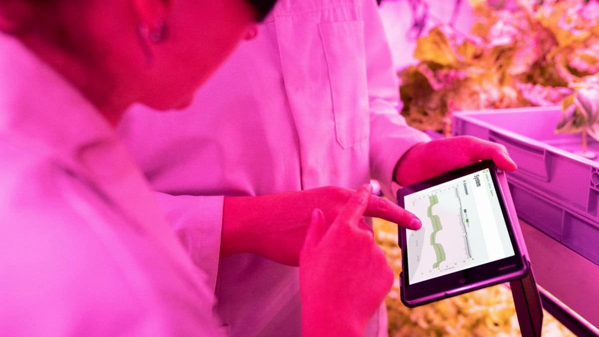 Scientists monitor crop growth in an indoor farm using digital tablets for efficient data analysis.