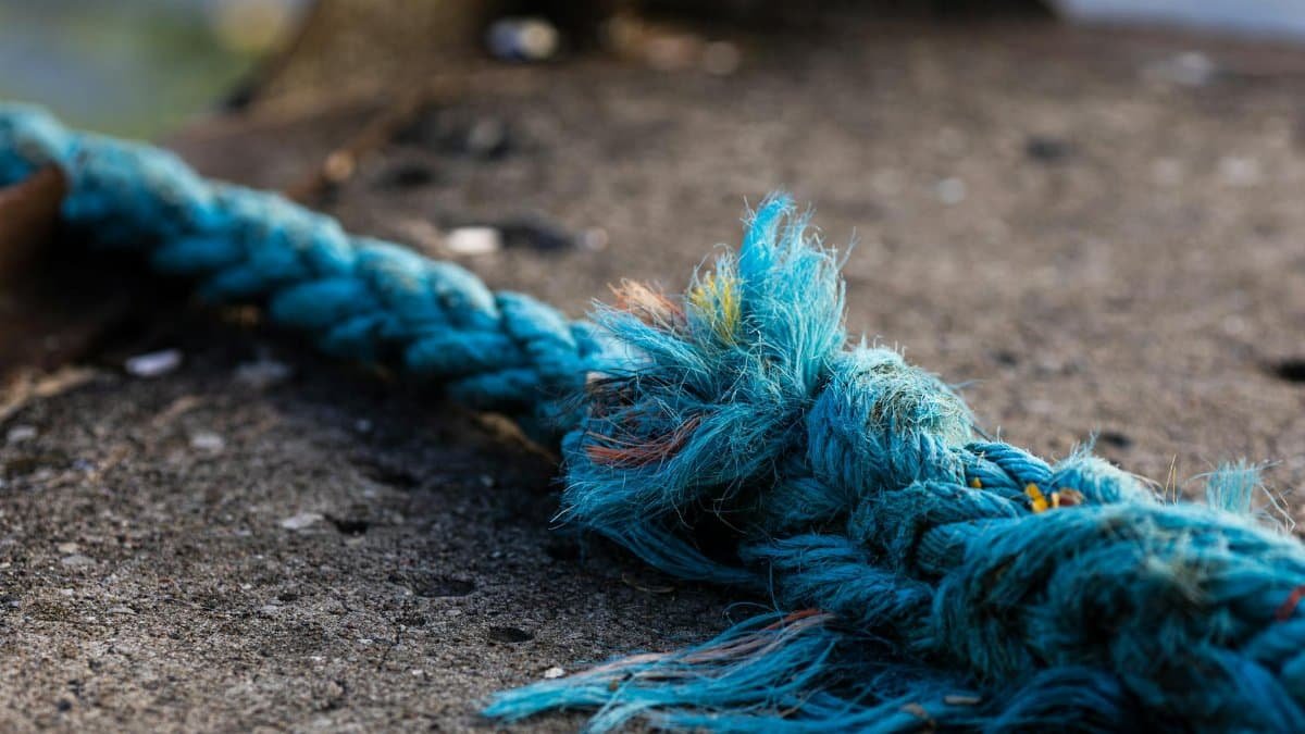 Detailed view of a frayed blue rope on rough concrete.