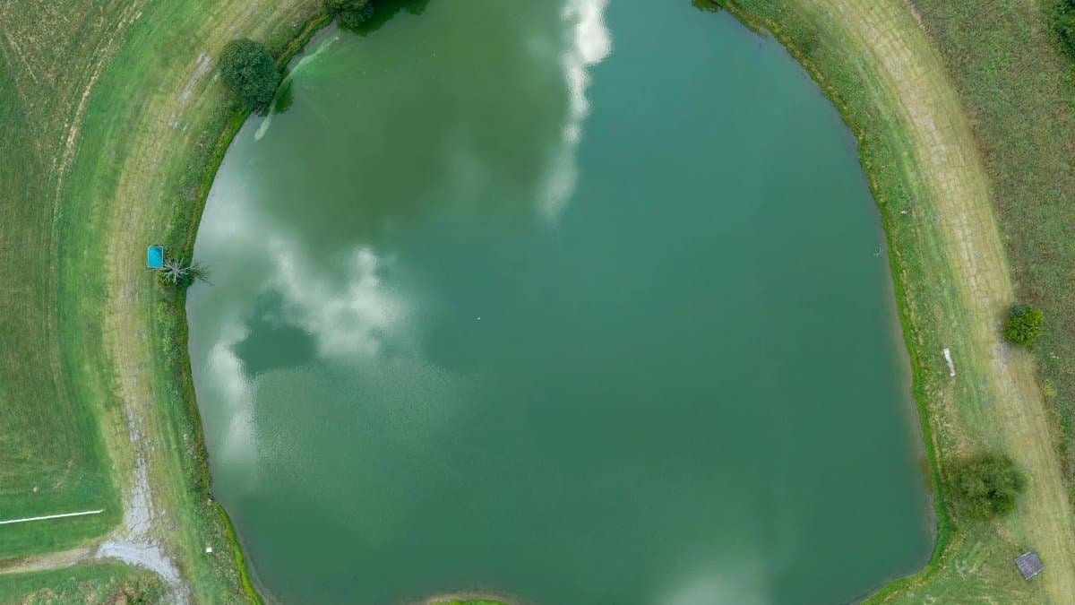 Aerial view of a tranquil pond surrounded by greenery in Wildwood, Georgia, USA.