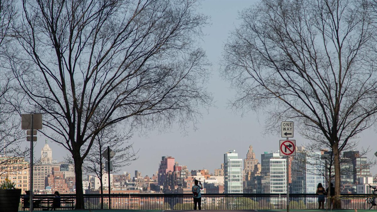 Scenic view of New York City skyline from Brooklyn Heights Promenade with bare trees in foreground.