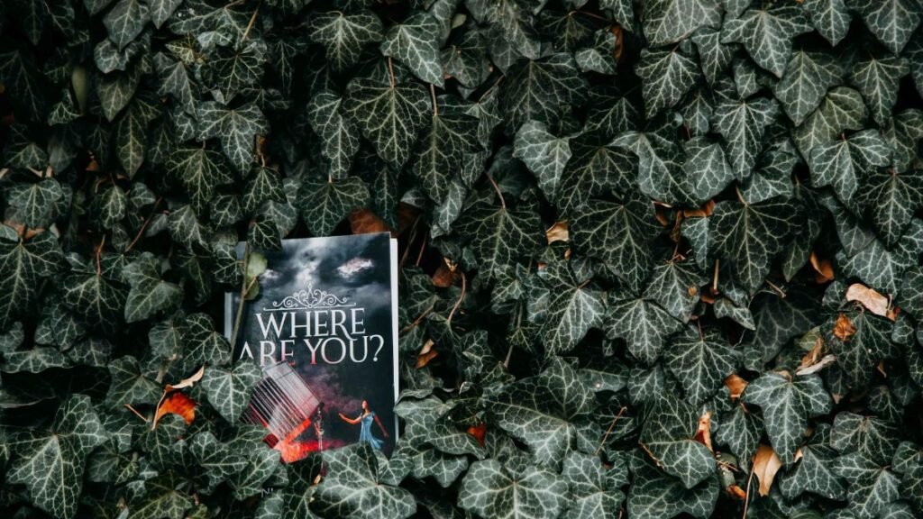 A novel titled 'Where Are You?' lies among dense ivy leaves in a garden setting.