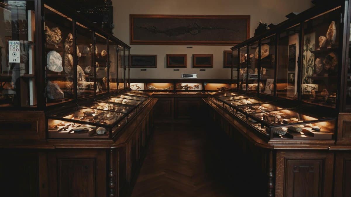 Exhibit of minerals and fossils in the Vienna Natural History Museum, featuring classic display cases.