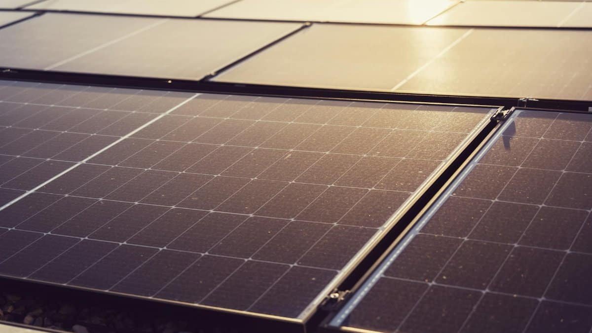 Detailed view of solar panels capturing sunlight, highlighting renewable energy technology.