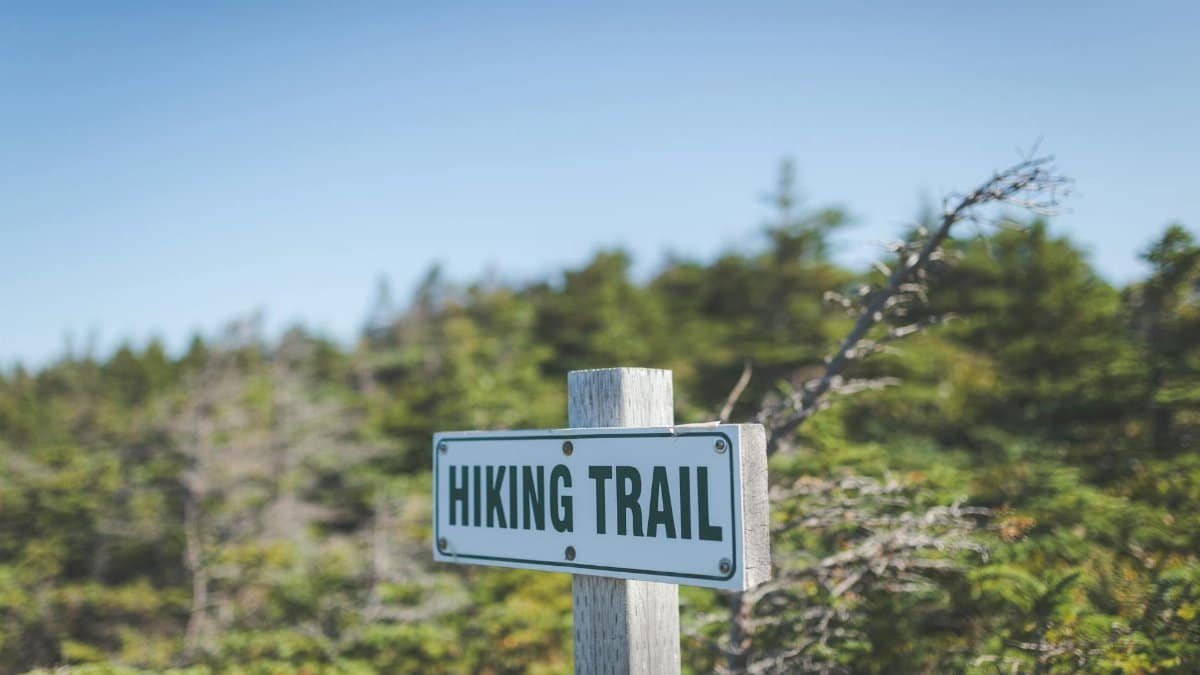 Explore nature on this clearly marked hiking trail surrounded by lush greenery.