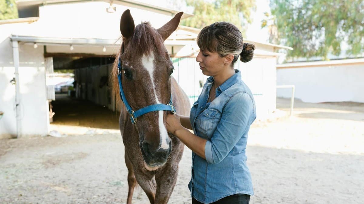 Woman tending to a horse at an outdoor stable, showcasing equine care and bonding.